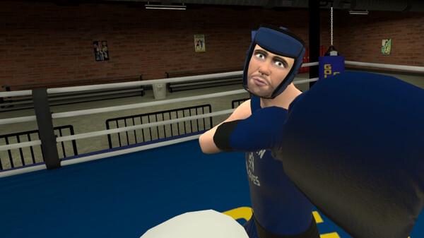 金手套（Golden Gloves VR）