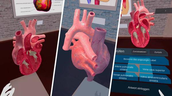 解剖实验室（VR Anatomy Lab）- Meta Quest游戏