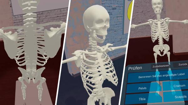 解剖实验室（VR Anatomy Lab）- Meta Quest游戏