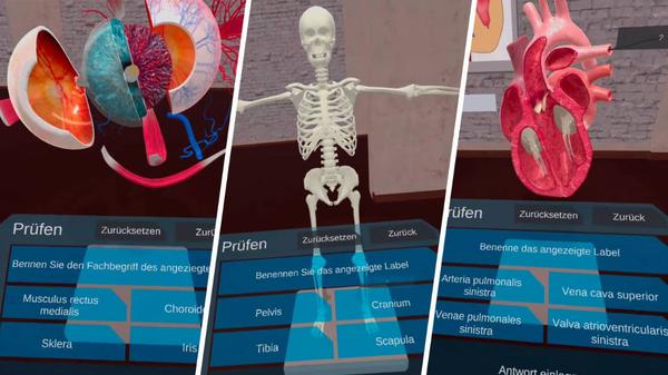 解剖实验室（VR Anatomy Lab）- Meta Quest游戏