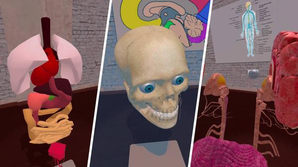解剖实验室（VR Anatomy Lab）- Meta Quest游戏