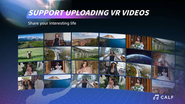 开飞视频（Calf  VR）- Meta Quest游戏