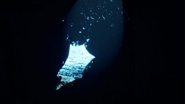 水族VR（B.o.W II VR）