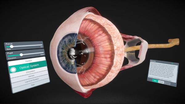 器官解刨学（Sharecare YOU Anatomy VR）- Oculus Quest游戏