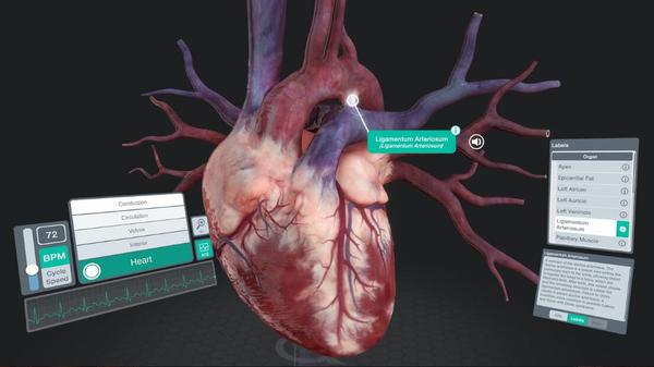 器官解刨学（Sharecare YOU Anatomy VR）- Oculus Quest游戏