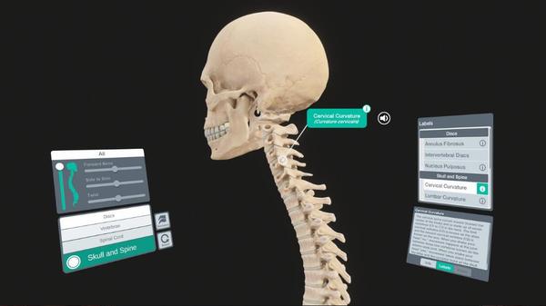 器官解刨学（Sharecare YOU Anatomy VR）- Oculus Quest游戏