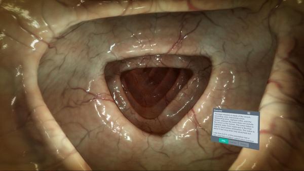 器官解刨学（Sharecare YOU Anatomy VR）- Oculus Quest游戏
