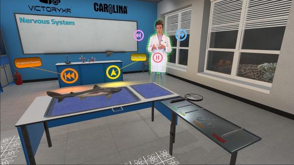 解剖模拟器：鲨鱼版（Dissection Simulator: Shark Edition VR）- Meta Quest游戏
