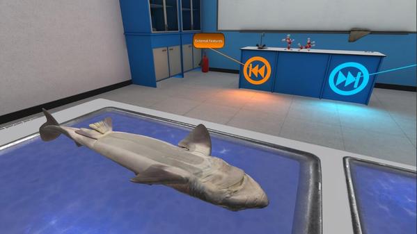 解剖模拟器：鲨鱼版（Dissection Simulator: Shark Edition VR）- Meta Quest游戏