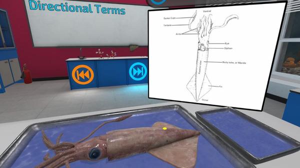 解剖模拟器：无脊椎动物版（Dissection Simulator: Invertebrate Edition）- Meta Quest游戏
