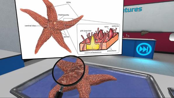 解剖模拟器：无脊椎动物版（Dissection Simulator: Invertebrate Edition）- Meta Quest游戏