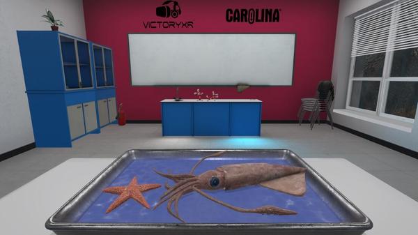 解剖模拟器：无脊椎动物版（Dissection Simulator: Invertebrate Edition）- Meta Quest游戏