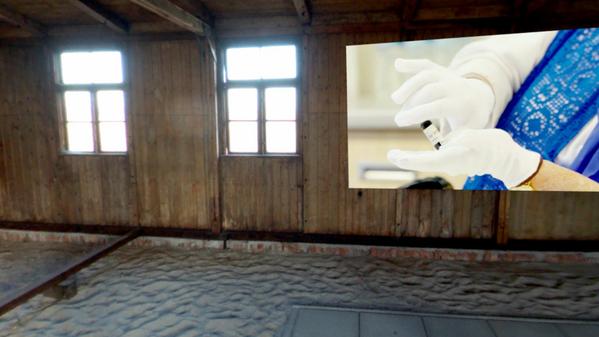 伊娃体验–Quest的VR展览（The Eva Experience – VR Exhibit for Quest）- Meta Quest游戏