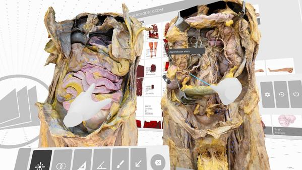医疗全息甲板解剖大师XR（Medicalholodeck is Dissection Master XR）- Meta Quest游戏