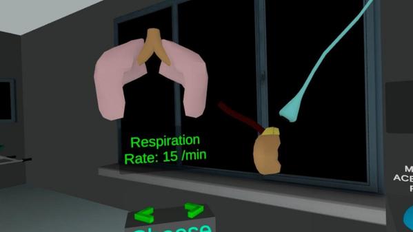 自主神经系统模拟器（Autonomic Nervous System Simulator）- Meta Quest游戏