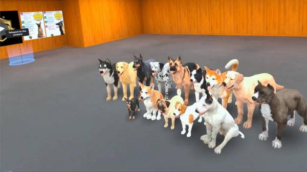 顶级K9（Top Tier K9）- Meta Quest游戏