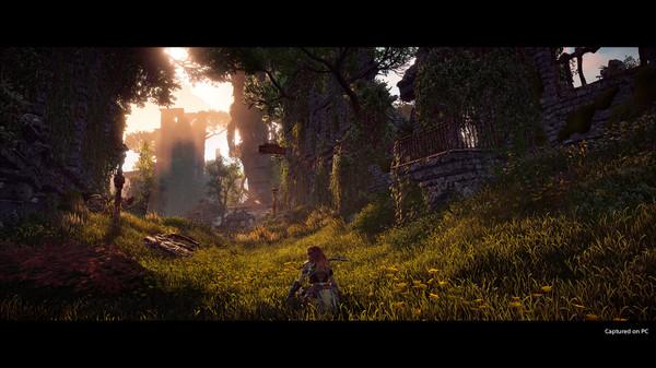 地平线:零之黎明VR 全DLC解锁版（Horizon Zero Dawn Complete Edition）
