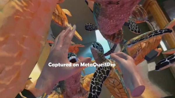 海洋世界（Ocean Passthrough）- Meta Quest游戏