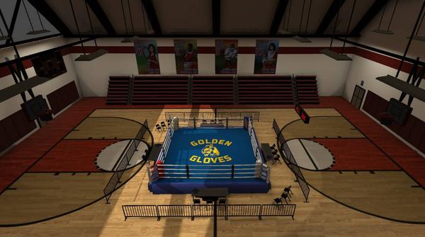 金手套拳击（Golden Gloves VR）- Meta Quest游戏
