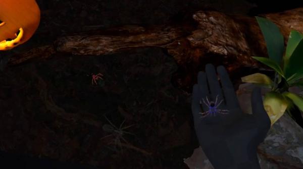 蜘蛛体验（Relaxed spiders experience）- Meta Quest游戏