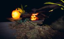 蜘蛛体验（Relaxed spiders experience）- Meta Quest游戏