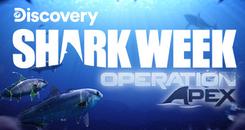 埃佩克斯行动 VR(Shark Week： Operation Apex)