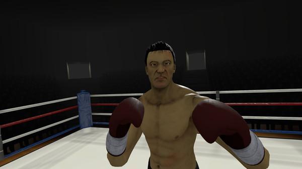 战斗的快感：拳击VR (The Thrill of the Fight - VR Boxing)