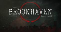 布鲁克海文实验(The Brookhaven Experiment)