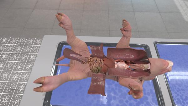 解剖模拟器：猪版（Dissection Simulator： Pig Edition）