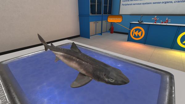 解剖模拟器：角鲨头版（Dissection Simulator： Dogfish Edition）