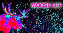 驼鹿生存VR（Moose Life）