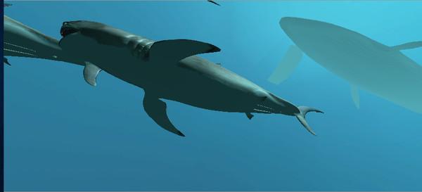 VR鲨鱼（VR Shark）