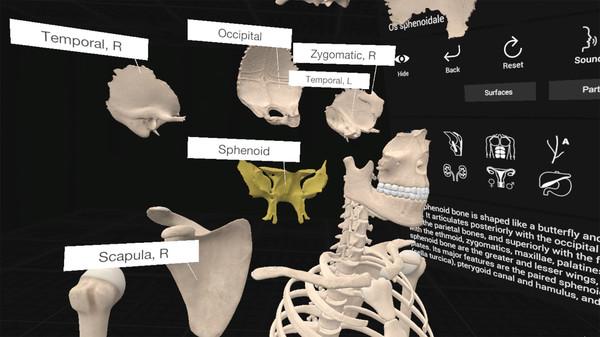 日常解剖学VR（Everyday Anatomy VR）