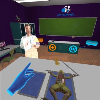 解刨学：解剖青蛙（Dissection Simulator Frog Edition）- Oculus Quest游戏