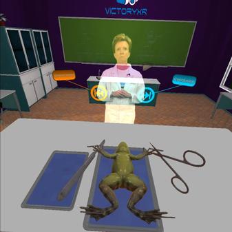 解刨学：解剖青蛙（Dissection Simulator Frog Edition）- Oculus Quest游戏