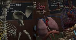 人体解剖学难题（Human Anatomy Puzzle）- Oculus Quest游戏