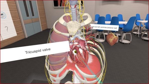 3D Organon VR 人体解剖学（3D Organon VR Anatomy）- Oculus Quest游戏