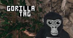 大猩猩（Gorilla Tag）- Oculus Quest游戏