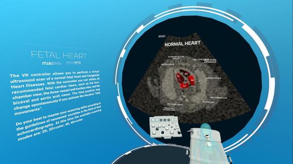 心脏病医学VR（Fetal Heart VR）- Oculus Quest游戏
