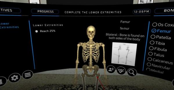 人体骨科VR（Human Osteology VR）- Oculus Quest游戏