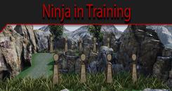 忍者训练场 VR (Ninja in Training)