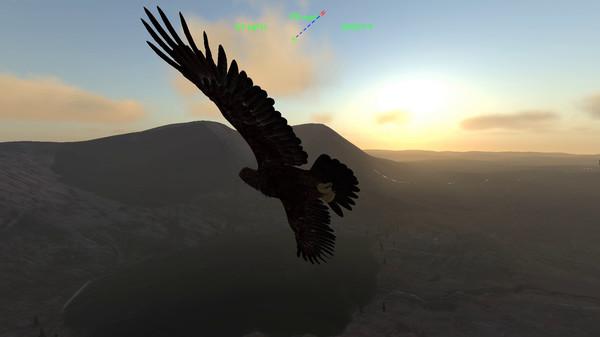 雄鹰飞行模拟器(Aquila Bird Flight Simulator)