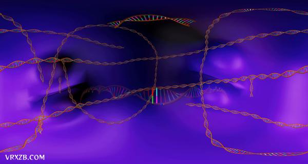 【360° VR】DNA导论