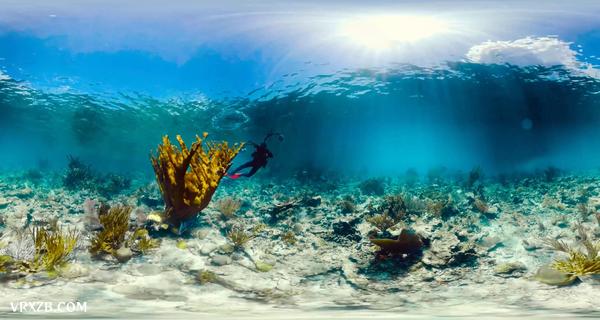 【360° VR】探寻加勒比海底的秘密