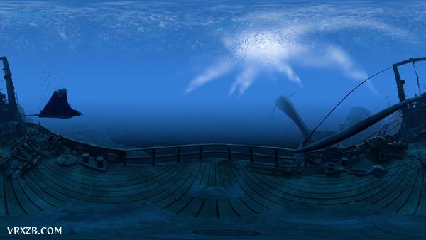 【360° VR】最美深海体验