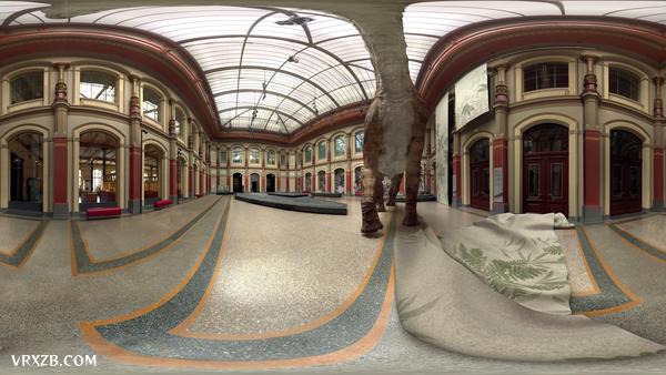 【360° VR】柏林自然博物馆复活布氏腕龙