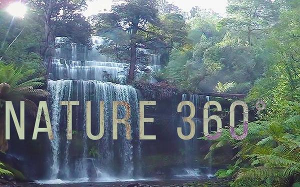 【360° VR】自然冥想