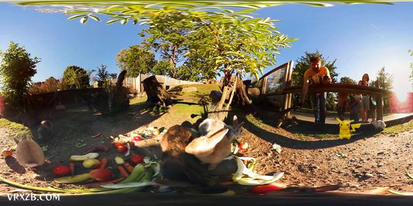 【360° VR】萌兔吃播上线