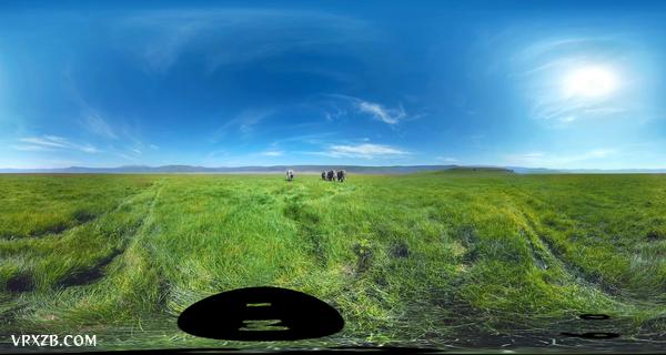 【360° VR】被野生大象包围