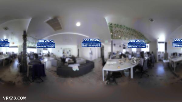 【360° VR】不同动物眼中的世界